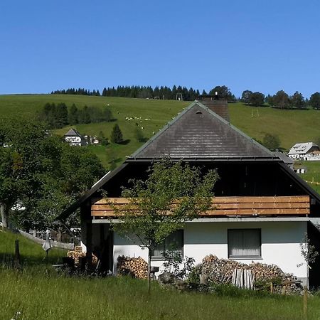 فيلا Schwarzwaldhaus Sonnenstrasse, Oberried-Hofsgrund, Dreisamtal أوبيريد المظهر الخارجي الصورة