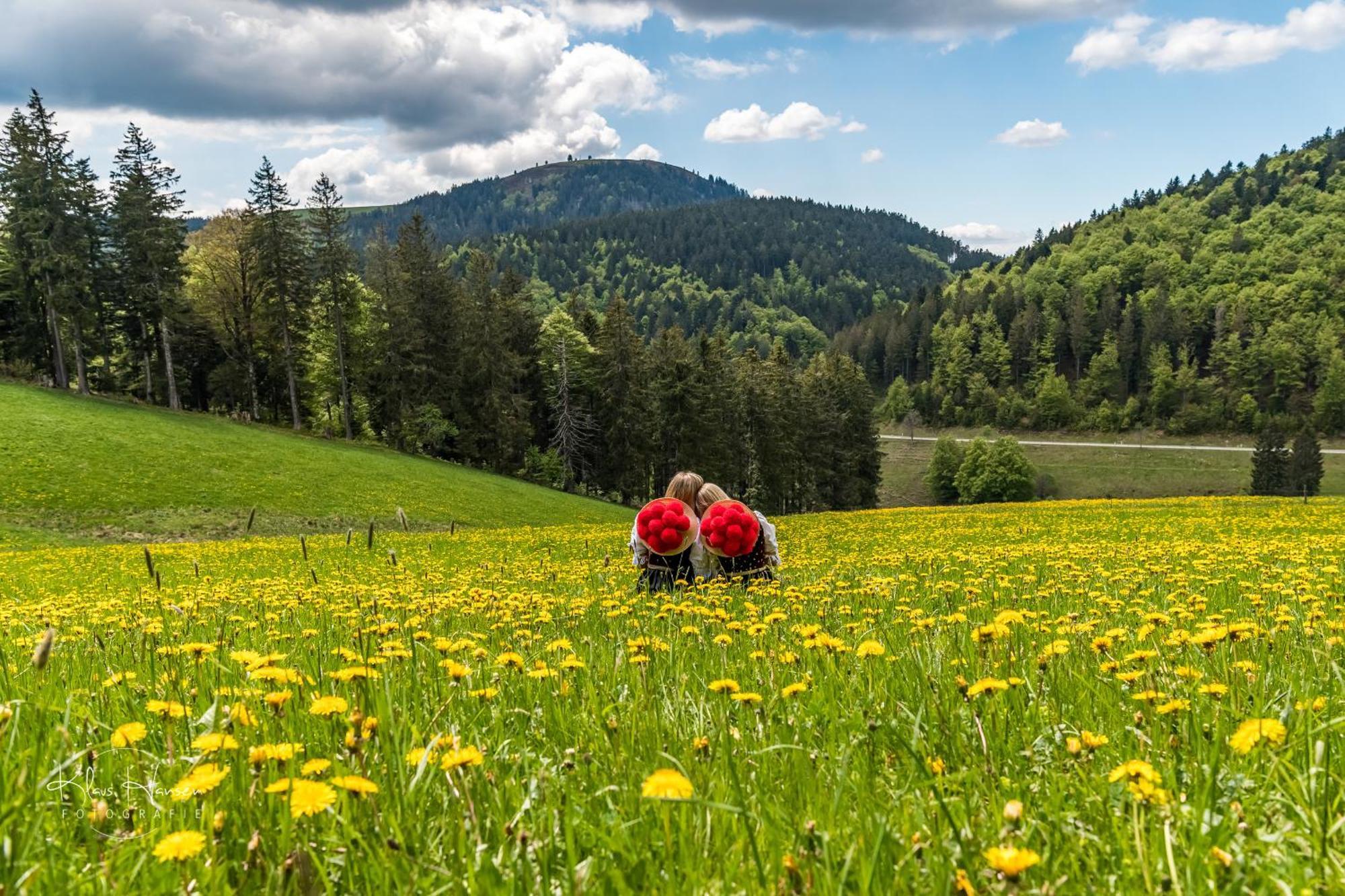 فيلا Schwarzwaldhaus Sonnenstrasse, Oberried-Hofsgrund, Dreisamtal أوبيريد المظهر الخارجي الصورة