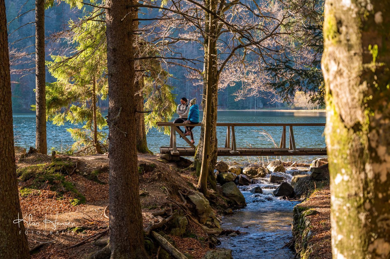 فيلا Schwarzwaldhaus Sonnenstrasse, Oberried-Hofsgrund, Dreisamtal أوبيريد المظهر الخارجي الصورة