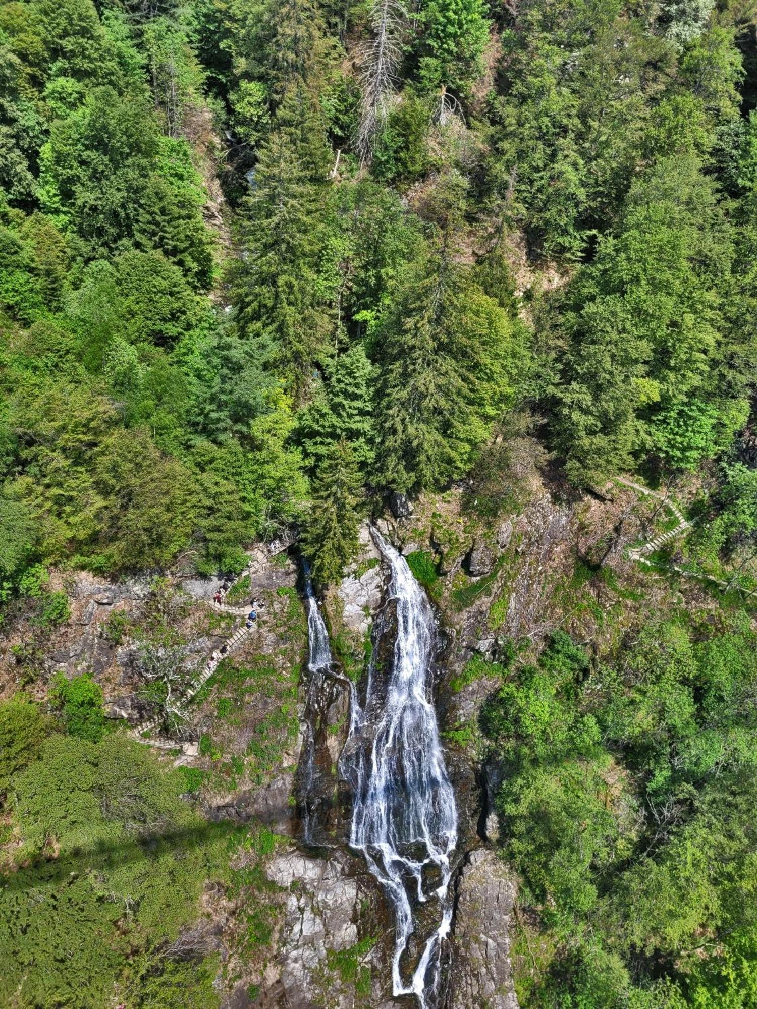 فيلا Schwarzwaldhaus Sonnenstrasse, Oberried-Hofsgrund, Dreisamtal أوبيريد المظهر الخارجي الصورة